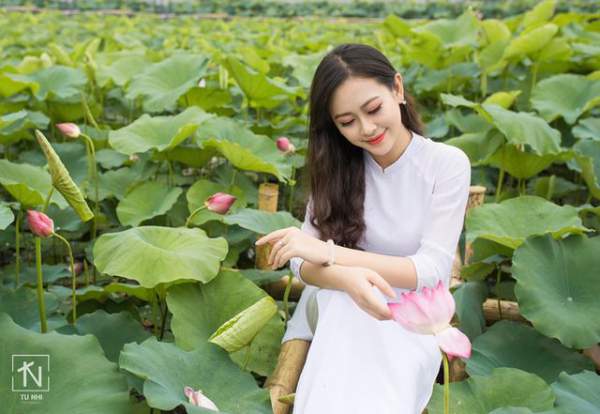 Hoa khôi Imiss Thăng Long đằm thắm giữa hồ sen đầu mùa 5