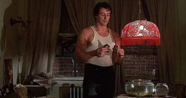 Sylvester Stallone vẫn nuôi hai chú rùa trong phim “Tay đấm huyền thoại” sau 40 năm 3