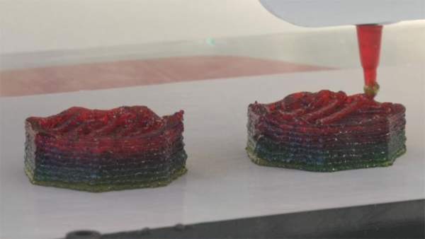 Sản xuất thực phẩm chức năng theo đơn nhờ công nghệ In 3D 2