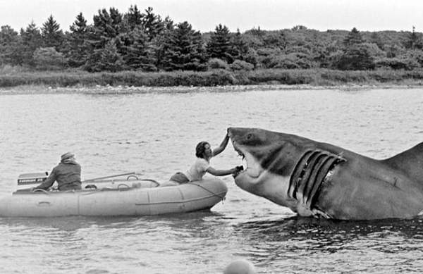 Một số bức ảnh lần đầu công bố về phim trường “Hàm cá mập” 9