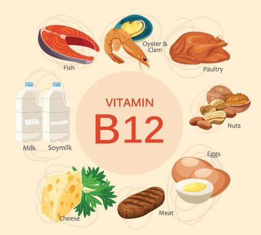 Vitamin B12 quan trọng thế nào? 3
