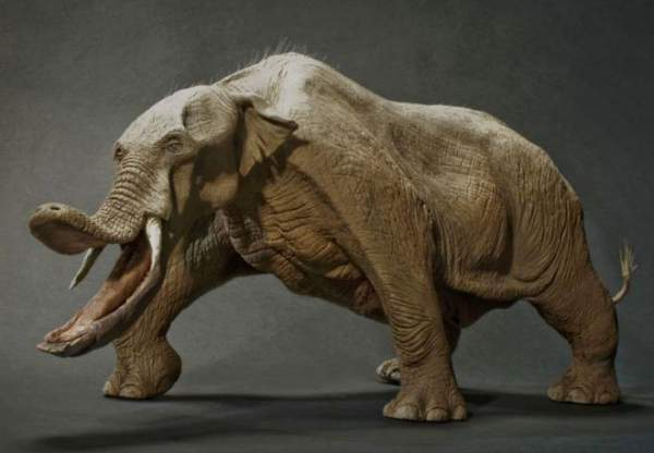 Sự thật là tổ tiên của voi và tê giác cổ đại có vẻ ngoài "quái dị" hơn ngày nay nhiều! 4