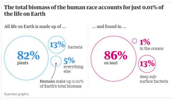 Con người chỉ chiếm 0,01% sự sống trên Trái đất nhưng lại hủy diệt 83% các loài khác 3