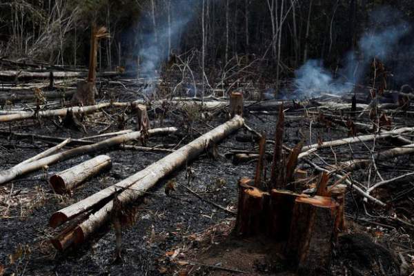 Loạt ảnh gây sốc về rừng Amazon bùng cháy với tốc độ kỷ lục 3