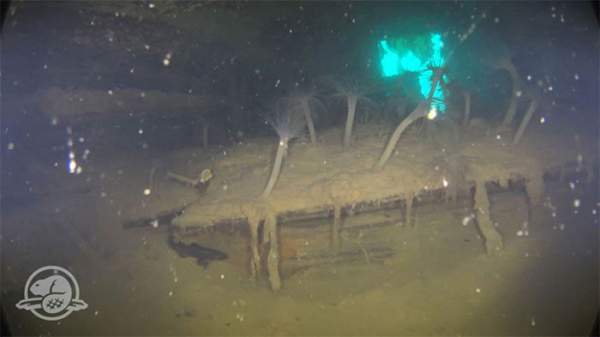 Hình ảnh kinh ngạc về con tàu đóng băng thời gian" sau gần 200 năm chìm dưới đáy biển 5