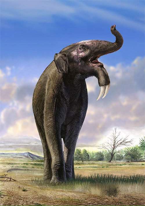 Sự thật là tổ tiên của voi và tê giác cổ đại có vẻ ngoài "quái dị" hơn ngày nay nhiều! 2