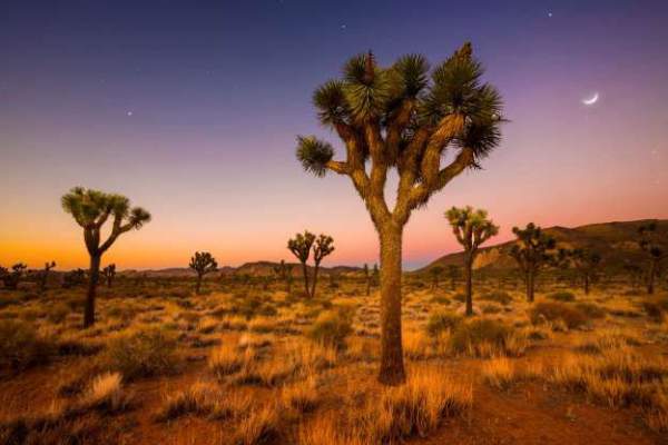 Những sa mạc đẹp nhất trên Trái đất 6