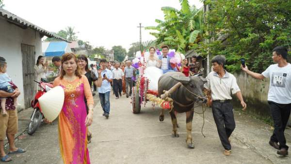 Độc đáo đám cưới rước dâu bằng xe trâu ở Thanh Hóa 4