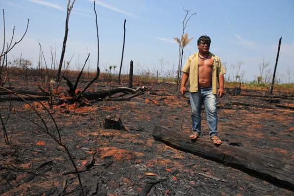 Thảm cảnh của thổ dân rừng Amazon khi “lá phổi xanh” ngày càng teo nhỏ 5