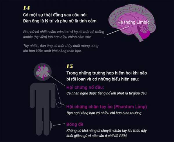 15 sự thật khó tin về não bộ 5