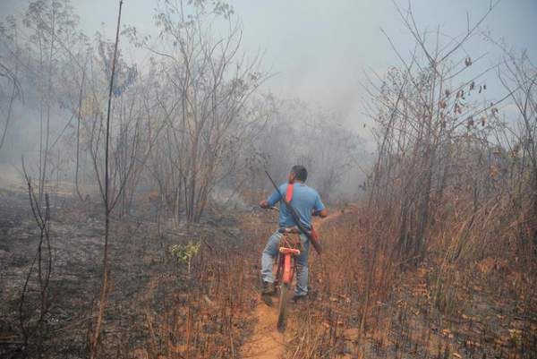 Thảm cảnh của thổ dân rừng Amazon khi “lá phổi xanh” ngày càng teo nhỏ 10