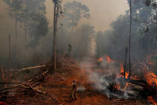 Thảm cảnh của thổ dân rừng Amazon khi “lá phổi xanh” ngày càng teo nhỏ 7