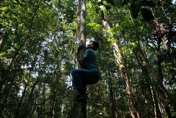Thảm cảnh của thổ dân rừng Amazon khi “lá phổi xanh” ngày càng teo nhỏ 6