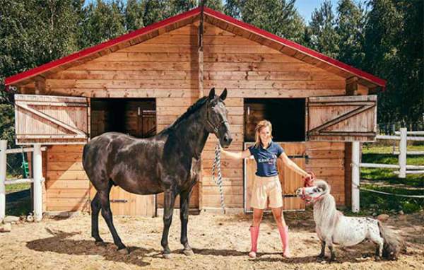 Chú ngựa nhỏ nhất thế giới hiện sống ở đâu, cao bao nhiêu? 2