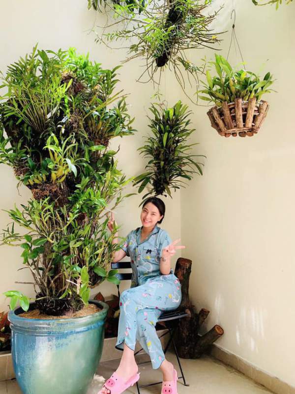 Vườn rau, trái cây xanh mướt mát của gia đình Hải Băng - Thành Đạt 3