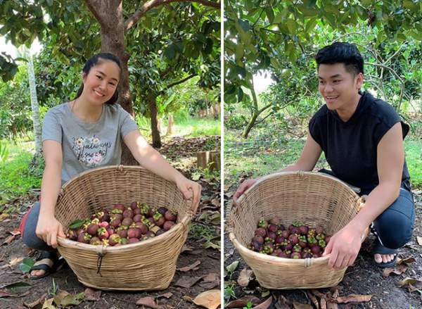 Vườn trái cây trĩu quả của gia đình diễn viên Lê Phương ở Tây Ninh 9