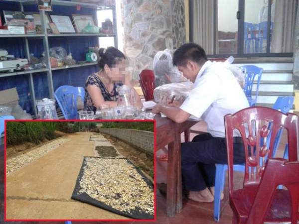 Bộ Y tế: Giá thuốc ở Việt Nam thuộc hàng rẻ nhất trong khu vực 5