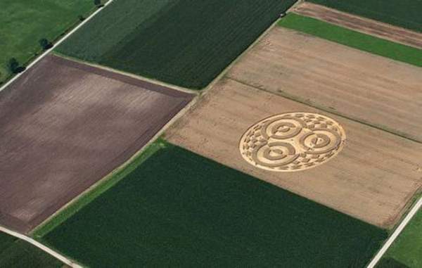 Vòng tròn khổng lồ xuất hiện bí ẩn trên cánh đồng ngũ cốc 2