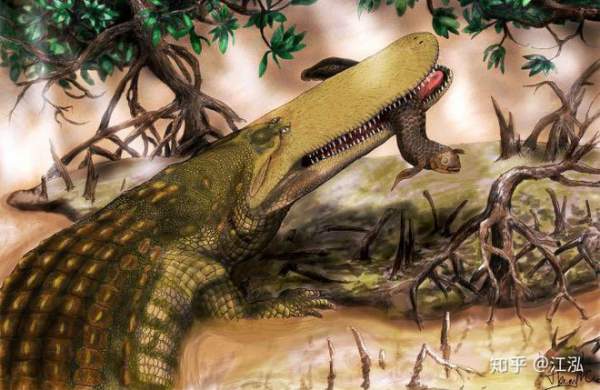 Stomatosuchus inermis: Loài cá sấu cổ đại có thể "nuốt chửng cả thế giới" 6