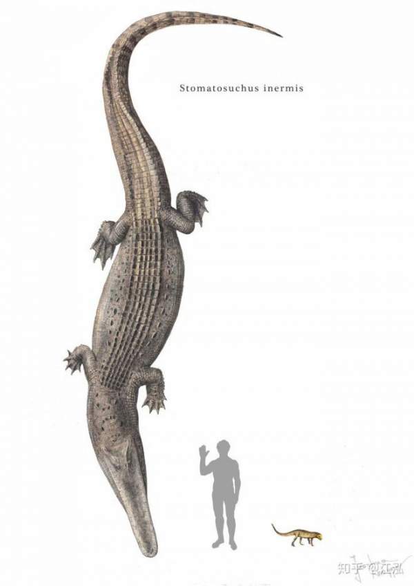 Stomatosuchus inermis: Loài cá sấu cổ đại có thể "nuốt chửng cả thế giới" 5