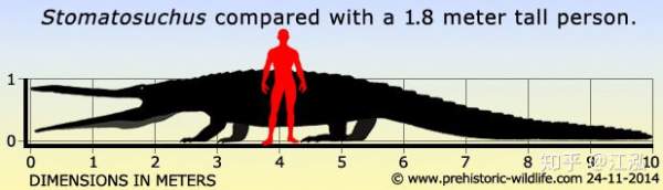 Stomatosuchus inermis: Loài cá sấu cổ đại có thể "nuốt chửng cả thế giới" 8