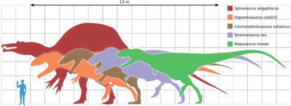Tại sao khủng long thống trị Trái đất hơn 100 triệu năm lại không sinh ra trí tuệ như loài người? 2