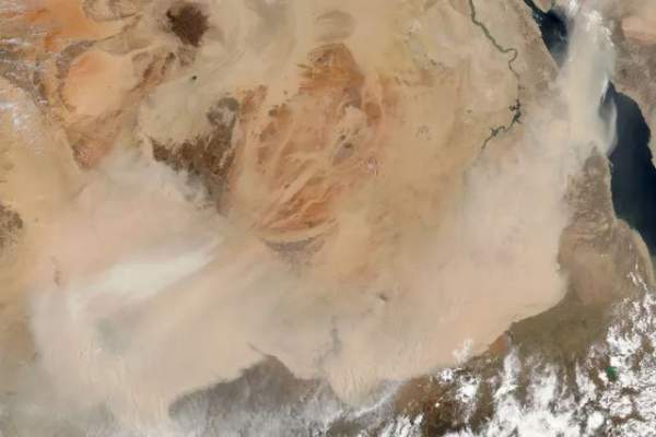 Sa mạc Sahara có thể trở lại là vùng đất màu mỡ không? 8