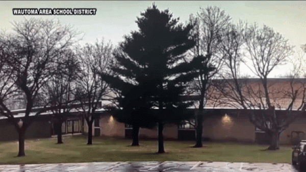 Cận cảnh khoảnh khắc tia sét "đốn hạ" cây lớn giữa sân trường 1