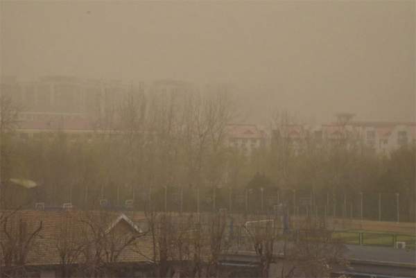 Bão cát "nuốt chửng" thị trấn ở Trung Quốc 2