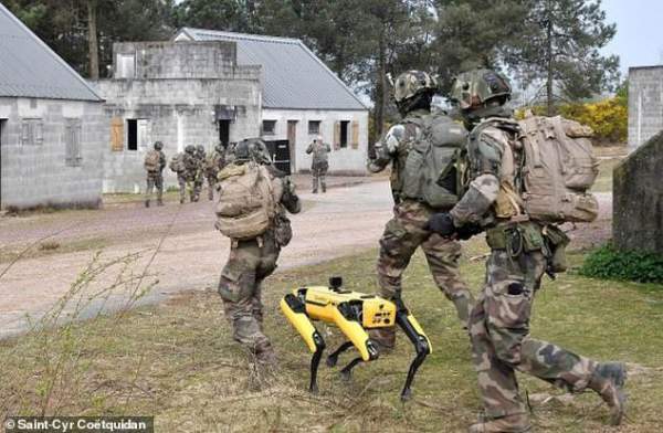 Xem chó robot trị giá 1,7 tỷ đồng của quân đội Pháp "trổ tài" chiến đấu 2