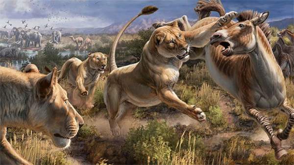 Cháy rừng cách đây 13.000 năm đã khiến cho hổ răng kiếm, sói dire và nhiều loài khác tuyệt chủng 4