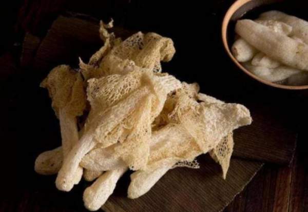Việt Nam có loại nấm quý chỉ tồn tại 10 tiếng đồng hồ mà Trung Quốc săn lùng: Giá tiền triệu một cân! 3