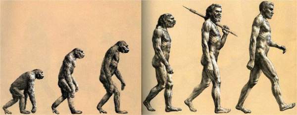 Thuyết tiến hóa do Darwin đề xuất có thực sự đáng tin? 4