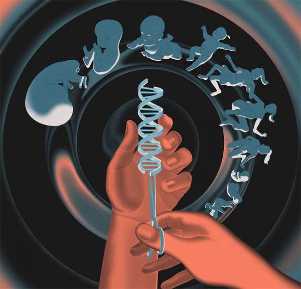 Các nhà khoa học tìm thấy dấu vết sửa đổi trong DNA: Liệu con người có phải là sản phẩm của "thiết kế"? 2