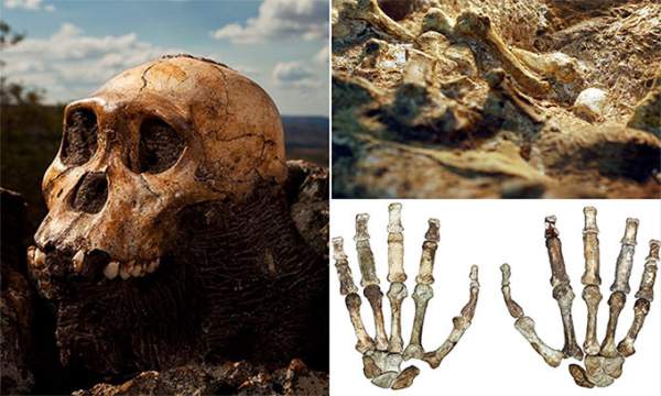 Có một khoảng trống 130.000 năm trong lịch sử tiến hóa của loài người, vậy trong thời kỳ này đã xảy ra chuyện gì? 3
