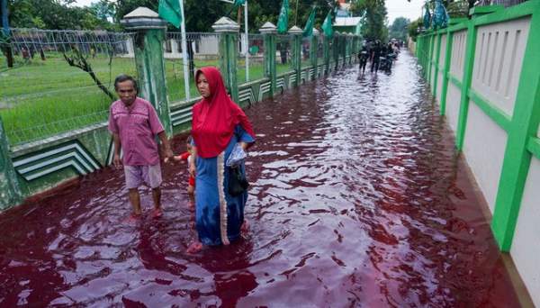 Bí ẩn về những cơn "mưa máu" xuất hiện liên tục tại Ấn Độ 2