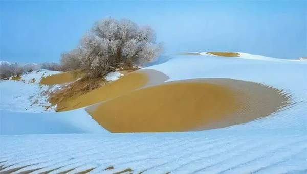 Cách Trung Quốc phủ xanh sa mạc "biển tử thần" rộng 330.000km2 4