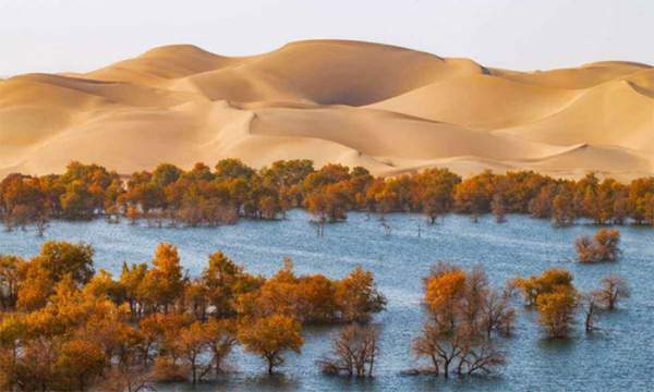 Cách Trung Quốc phủ xanh sa mạc "biển tử thần" rộng 330.000km2 11