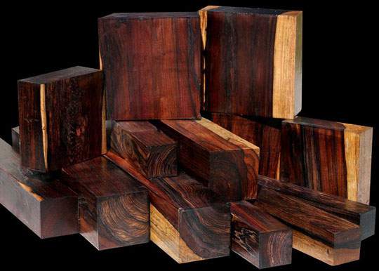 12 loại gỗ quý hiếm và đắt nhất trên thế giới 6