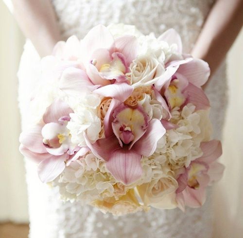 Hoa cô dâu với màu sắc bừng sáng 3