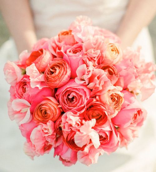 Hoa cô dâu với màu sắc bừng sáng