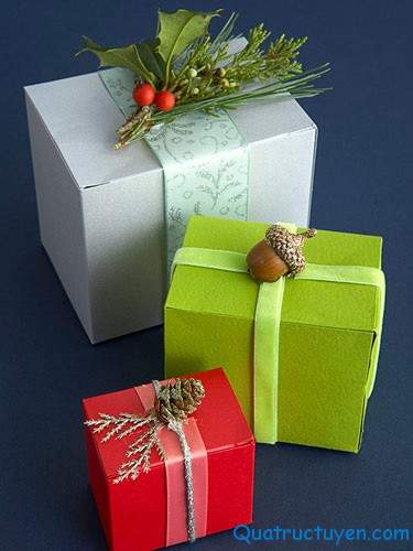 Cách làm hộp quà Giáng Sinh handmade ý nghĩa tặng chàng 3