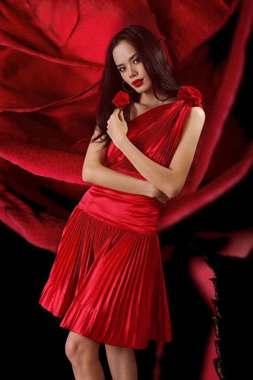Hé lộ mơ ước năm 2015 của hoa hậu, người mẫu Việt 6