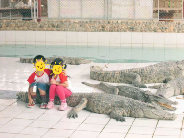 Tạo dáng bên cá sấu vào top 10 chuyện hot nhất mạng Thái Lan