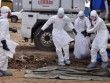 Virus Ebola quay trở lại châu Âu