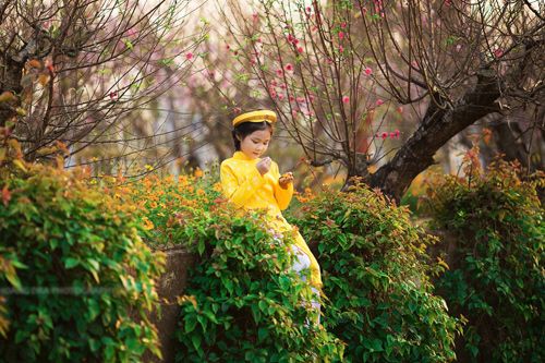 Mẫu nhí 7 tuổi Hà Nội “lấn sân” điện ảnh xứ Hàn 11