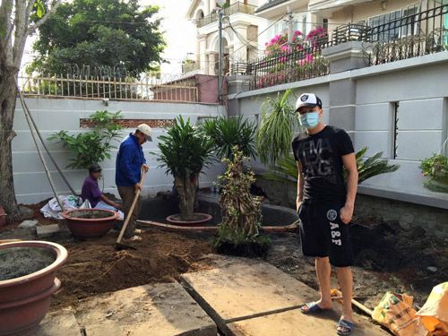 Cao Thái Sơn quần đùi dép lê sửa sang vườn nhà 3