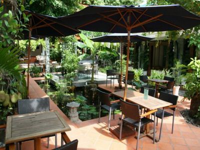 Những quán cafe vườn ở Sài Gòn không nên bỏ qua 4