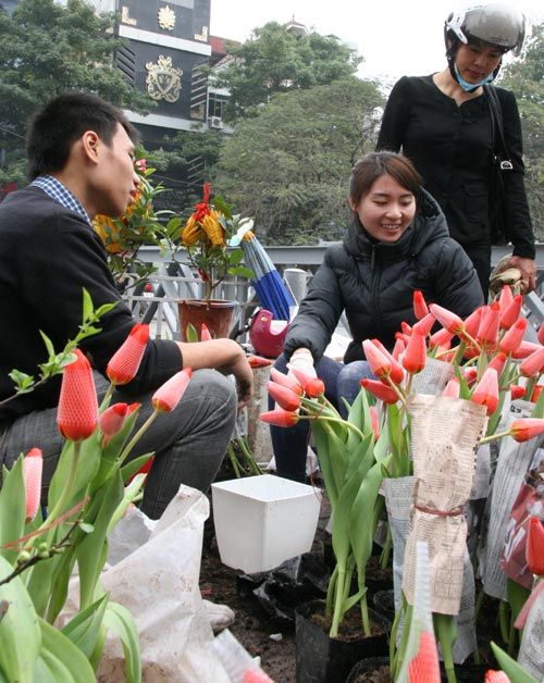 Tulip Việt giá 30 nghìn hút người mua 12
