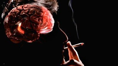 Hút thuốc lá làm mòn vỏ não